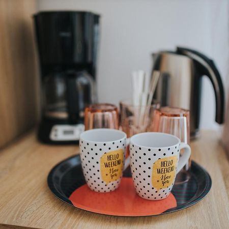 Gavri'S Classic Apartment Сібіу Екстер'єр фото